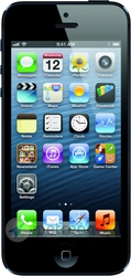 доступная цена на Apple iPhone 5s у нас на сайте. Уфа